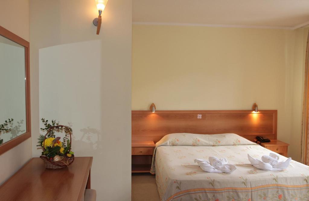 Glazne Hotel Bansko Pokoj fotografie